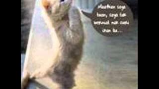 Di Mana Kamu by Numata