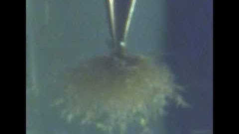 Electrical tree (bush-type)