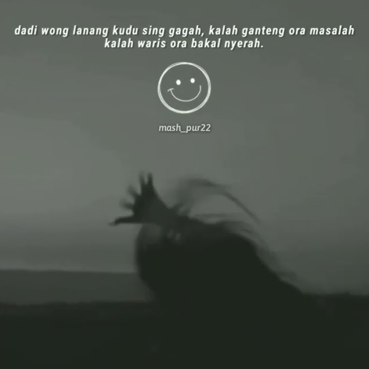 mendung tanpo udan ll story wa viral  30 detik