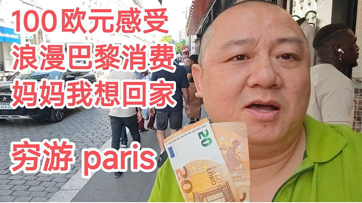 用巴黎出租车司机，大约一天100欧元收入，感受一下巴黎的消费#巴黎#带你看世界#paris