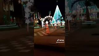 Chenita Sing And Compose By Asong Gala