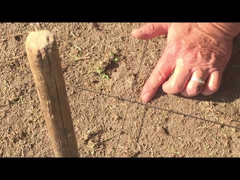 Shadow Stick: Find