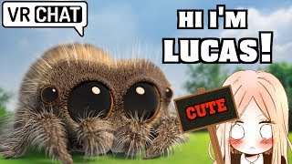 HI, I'M LUCAS! - VRCHAT screenshot 1