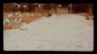 Flying fox fails