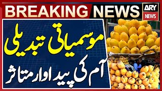 Climate Change Hits Mango Production in Pakistan