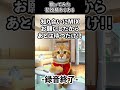 歌ってみた初投稿する時の歌い手あるある #猫ミーム #gero #めいちゃん