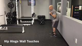 Hip Hinge Wall Touches