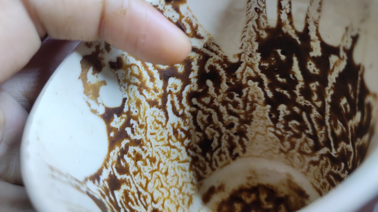 Стрелец ‼️ Ноябрь 🔥💥 Моя чашка кофе никогда не врёт ❌ никогда 👌