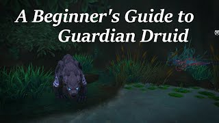 A Beginner's Guide to Guardian Druid, Shadowlands