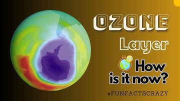 What is the current state of the ozone layer?