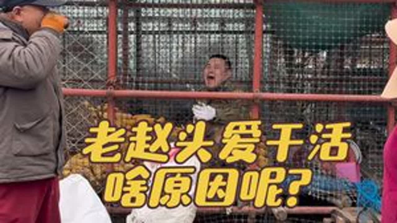 今天宣布个大事 #记录我的农村生活 #我的乡村生活 #丹东蓝莓 @DOU+小助手