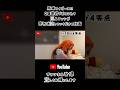 阪神🐯にボコられて巨人ファンが意気消沈していくだけの動画 #読売ジャイアンツ #阪神タイガース #巨人ファン #阪神ファン