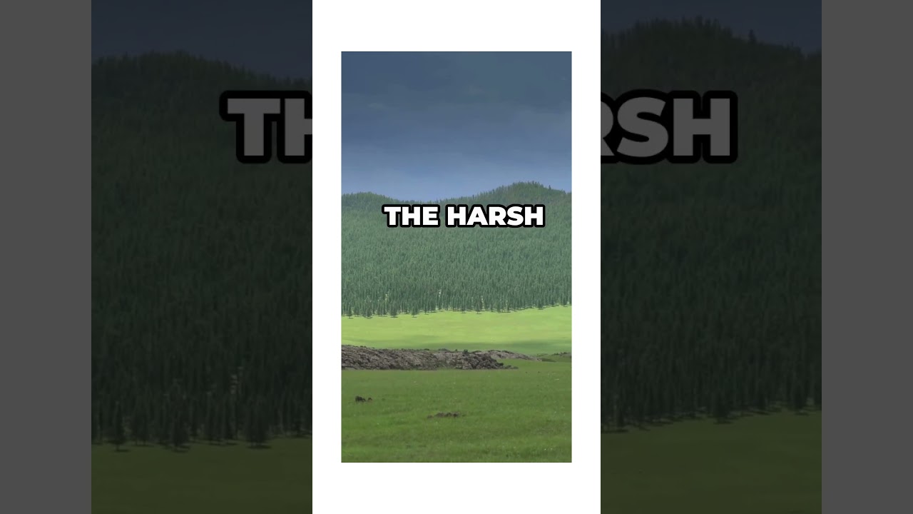 Stalin's Jewish Autonomous Region 