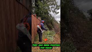 Mowing Down BLACKBERRY Hedge In The BACKYARD! #satisfying #mowing  #brushmowing #seattle #blackberry