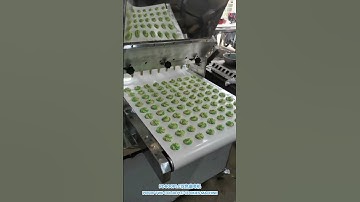 PD600 PLC TWO DOUBLE COLOR COOKIES MACHINE, PLC TWO DOUBLE COLOR COOKIES DEPOSITOR AND WIRE CUTTER