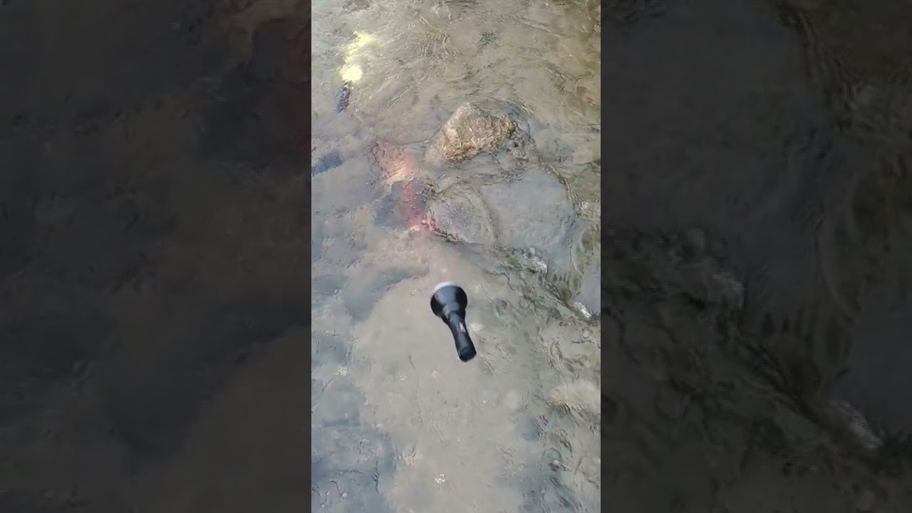 Waterproof Outdoor Light