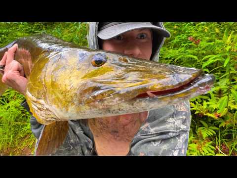 Fishing For Apex Predators of North America!!!