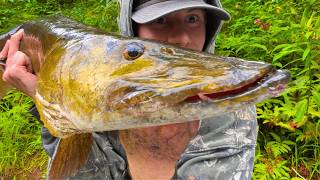 Exploring a New River For Big Musky!!! (New PB)