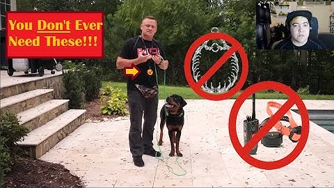 Amerikaanse standaard hondentraining vertrouwt op schokhalsbanden