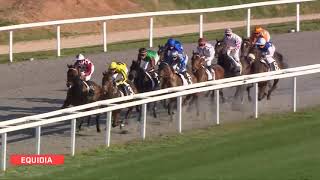 Vidéo de la course PMU PRIX DU LAUTIN