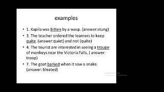 Information LATAZ Weekly Webinar Serries  Session 15  Challenges and Common Errors in English Guide
