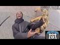 Police Dog Takes a Big Bite of the Suspect and won’t let go!