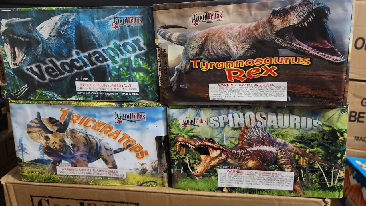 DINOSAUR MADNESS PRO FIREWORK #pr