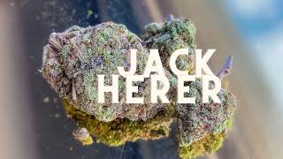 Weed Strains That May Help Make You Happy