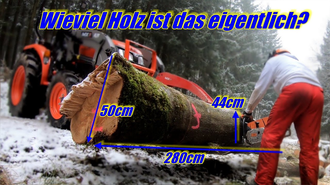 Brennholzvlog 2. Abfuhr 2025, jetzt auch noch Schnee, aber wieviel Holz ist das eigentlich?