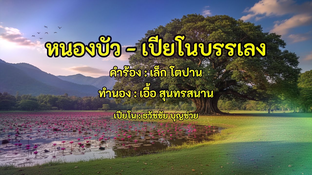 หนองบัว - เพลงสุนทราภรณ์ - เปียโนเพราะๆ - เปียโนบรรเลง - Piano Cover by  ธวัชชัย บุญช่วย