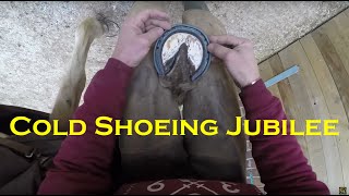Cold shoeing Jubilee