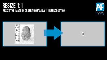Resize 1:1: Resize an Image to Get a 1:1 Reproduction in Amped FIVE