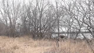 901 39th Ave video tour