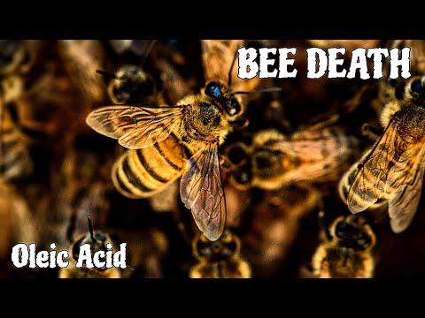 Idousacramento Bee Death Notices 16