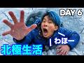 北極で7日間生活【セイキンさんコラボ】