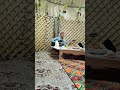 8 декабря 2023 г.