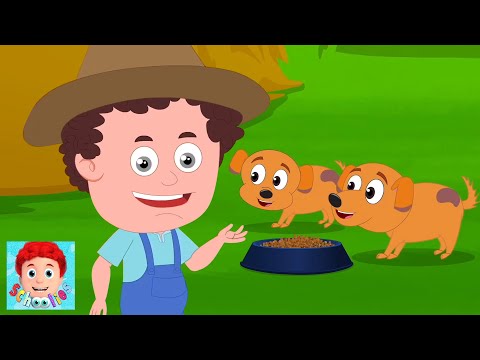 Schoolies | Old MacDonald Avait une Ferme 🐮🎵 Chanson pour Enfants