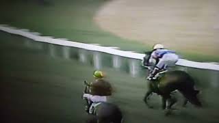 Shinkesen impressively wins the Nursery stakes with B.Harding