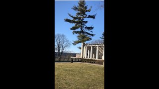 Sunday with Dilly # 15