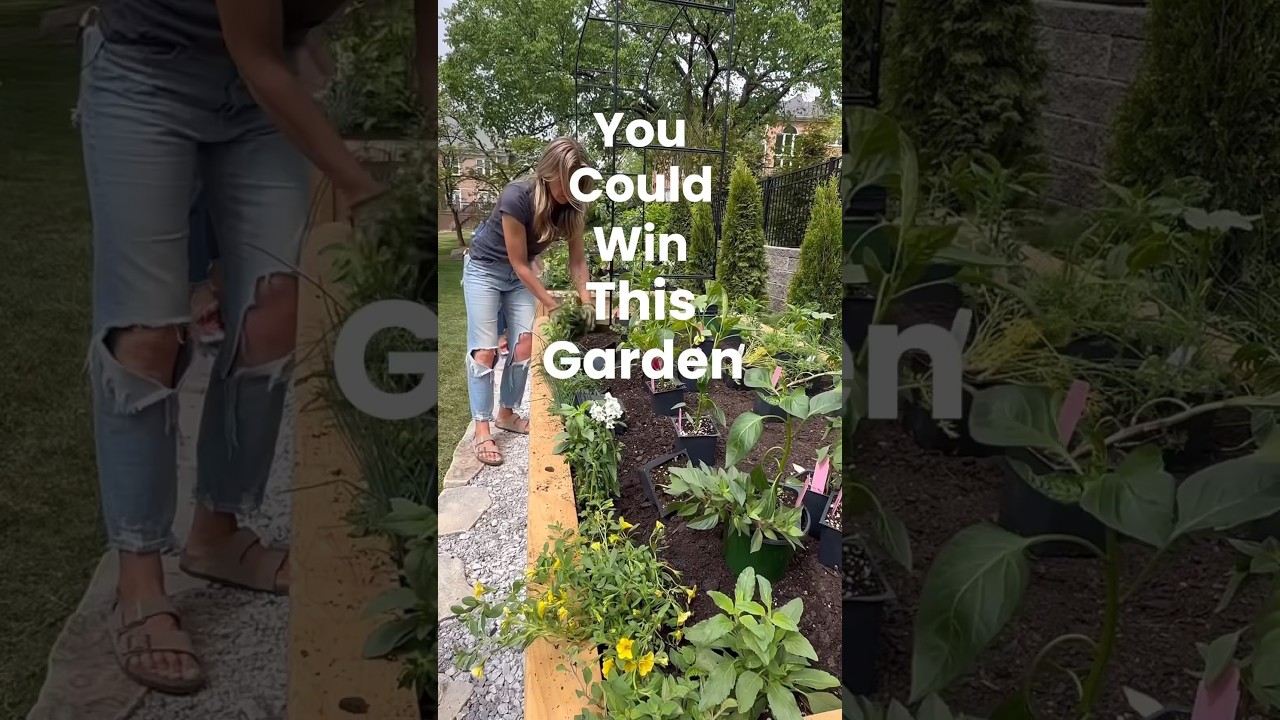 You could win this! Enter to win on my Instagram, @gardenaryco 