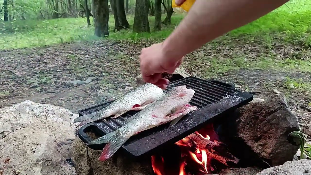 Peste gatit in natura