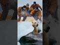 FROZEN ALIVE Polar Bear Trapped In Ice INSANE Arctic Rescue 