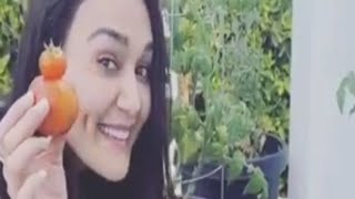 Preity Zinta Ki Ghar Ki Kheti Part 2 Grow Own Vegetables At Home