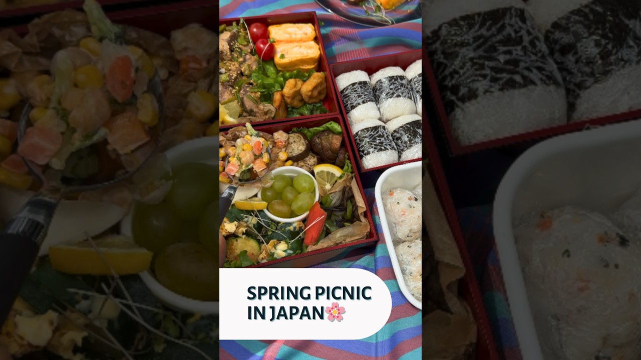 Spring Picnic in Japan | Japanese Picnic Food Ideas
