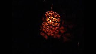 Cathedral Rock Sedona Full Moon Drumming - Leo and the Light Sphere