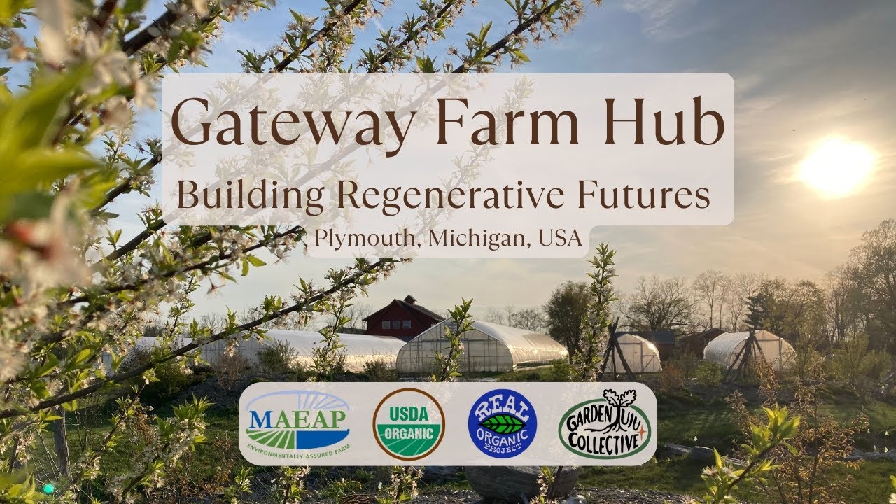 Gateway Farm Hub: Building regenerative futures