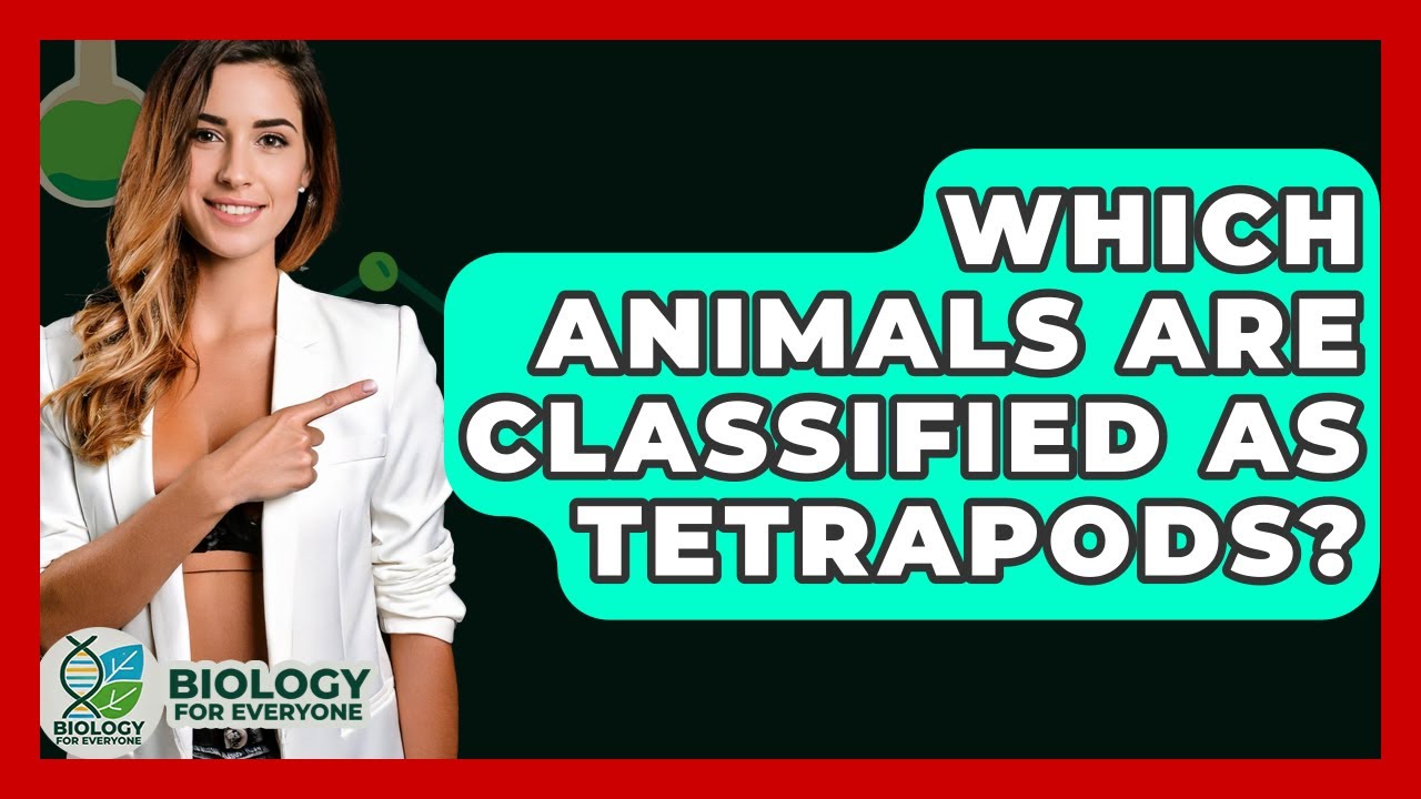 Which Animals Are Classified As Tetrapods? - Biology For Everyone