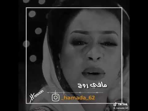 اغنيه سنه سعيده ايمان الشريف 