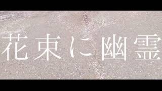 花束に幽霊 / 初音ミク