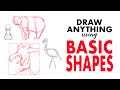 How to Draw Anything Using Basic Shapes